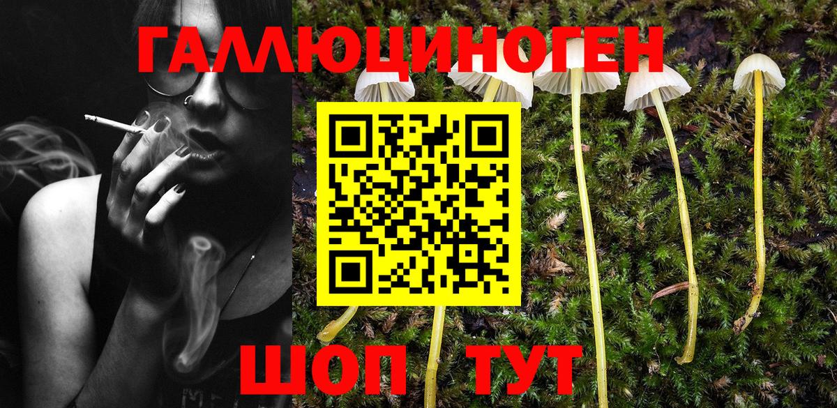 Галлюциногенные грибы MAGIC MUSHROOMS Артёмовский